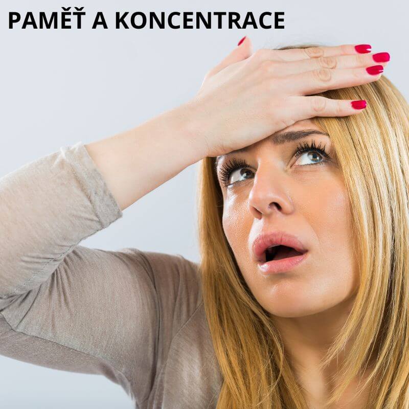 koncentrace